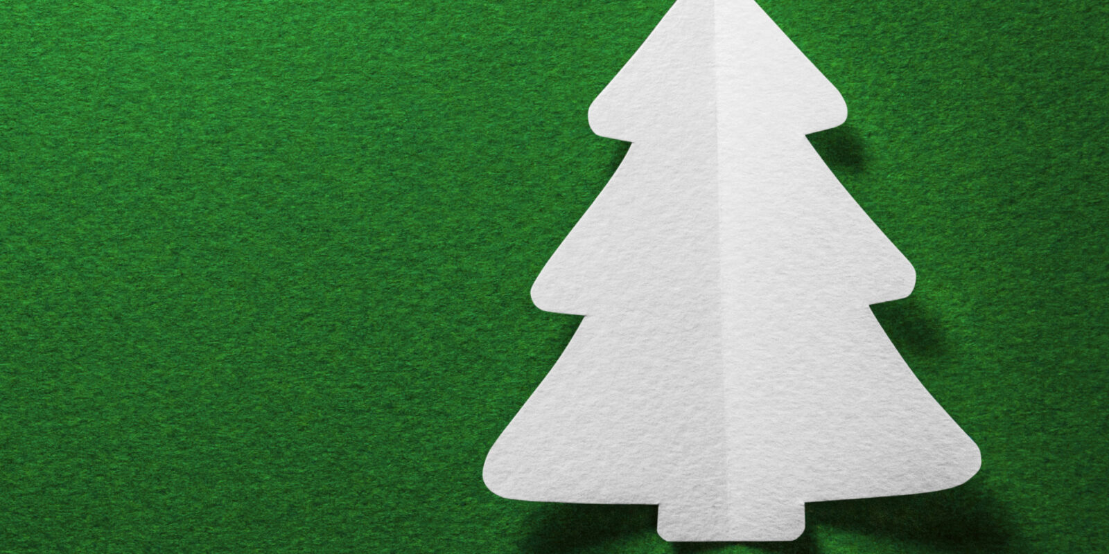 Nachhaltiger Weihnachtsbaum kommt in Begleitung eines Elchs