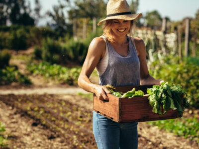 Die Drei Säulen der Nachhaltigkeit: Ein Blick auf das Dreidimensionale Modell