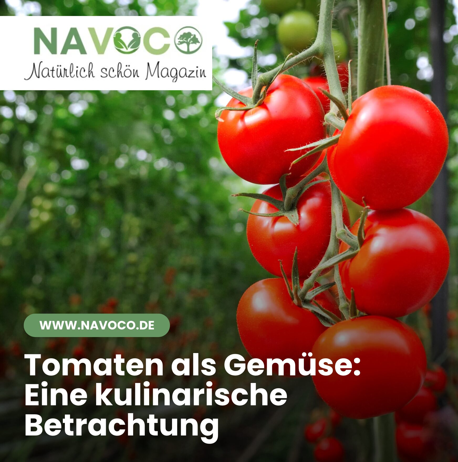 Tomaten als Gemüse: Eine kulinarische Betrachtung