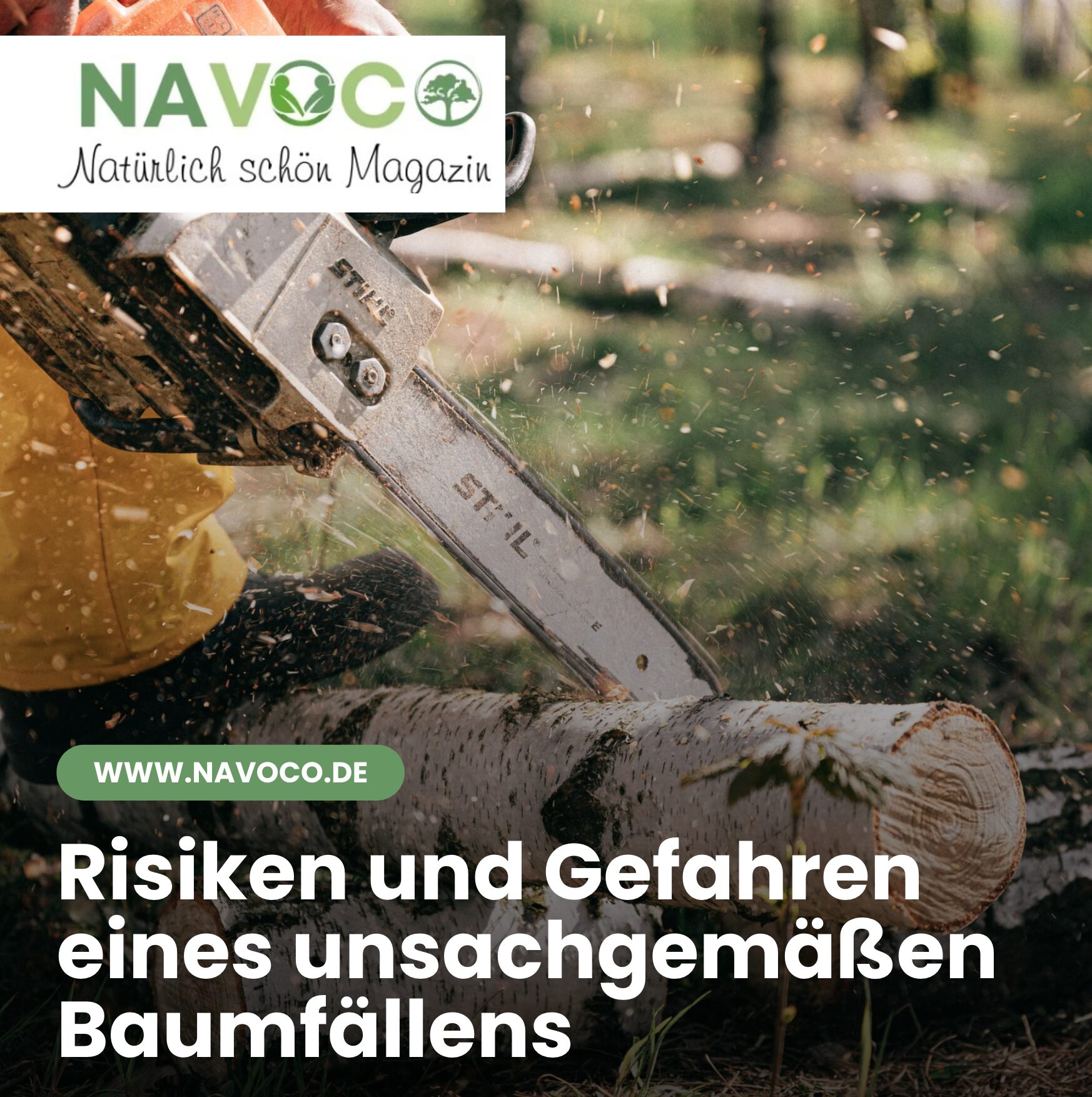 Bis wann darf man Bäume fällen: Risiken und Gefahren eines unsachgemäßen Baumfällens