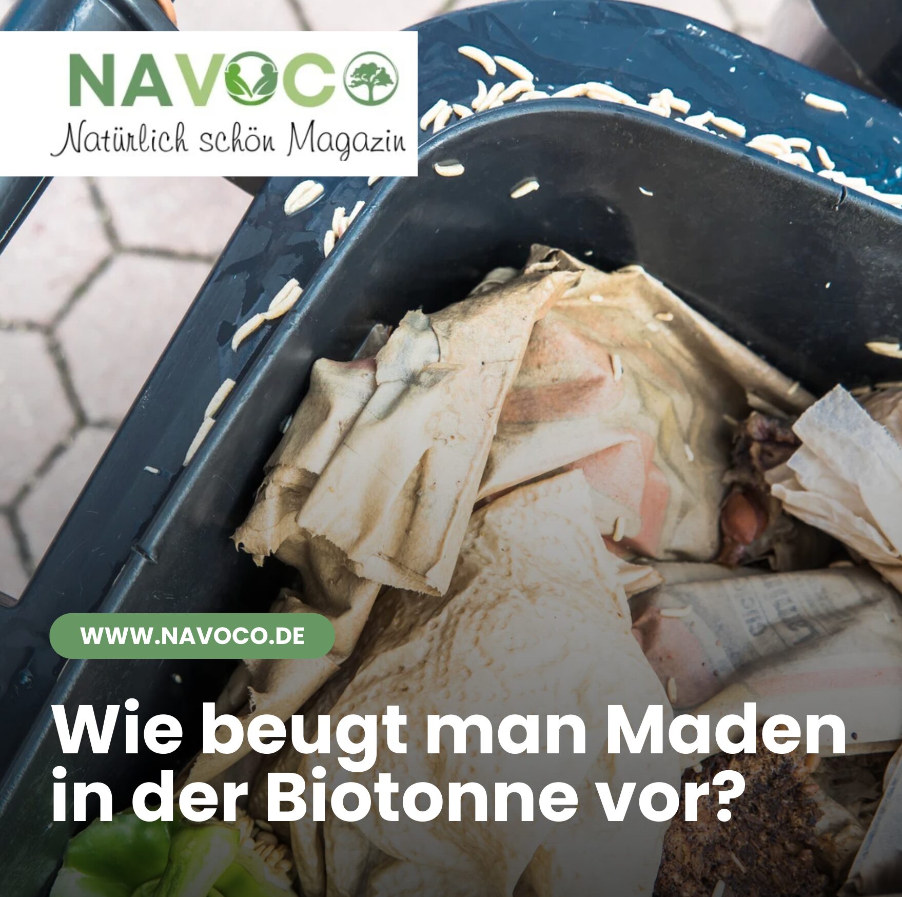 Wie beugt man Maden in der Biotonne vor?