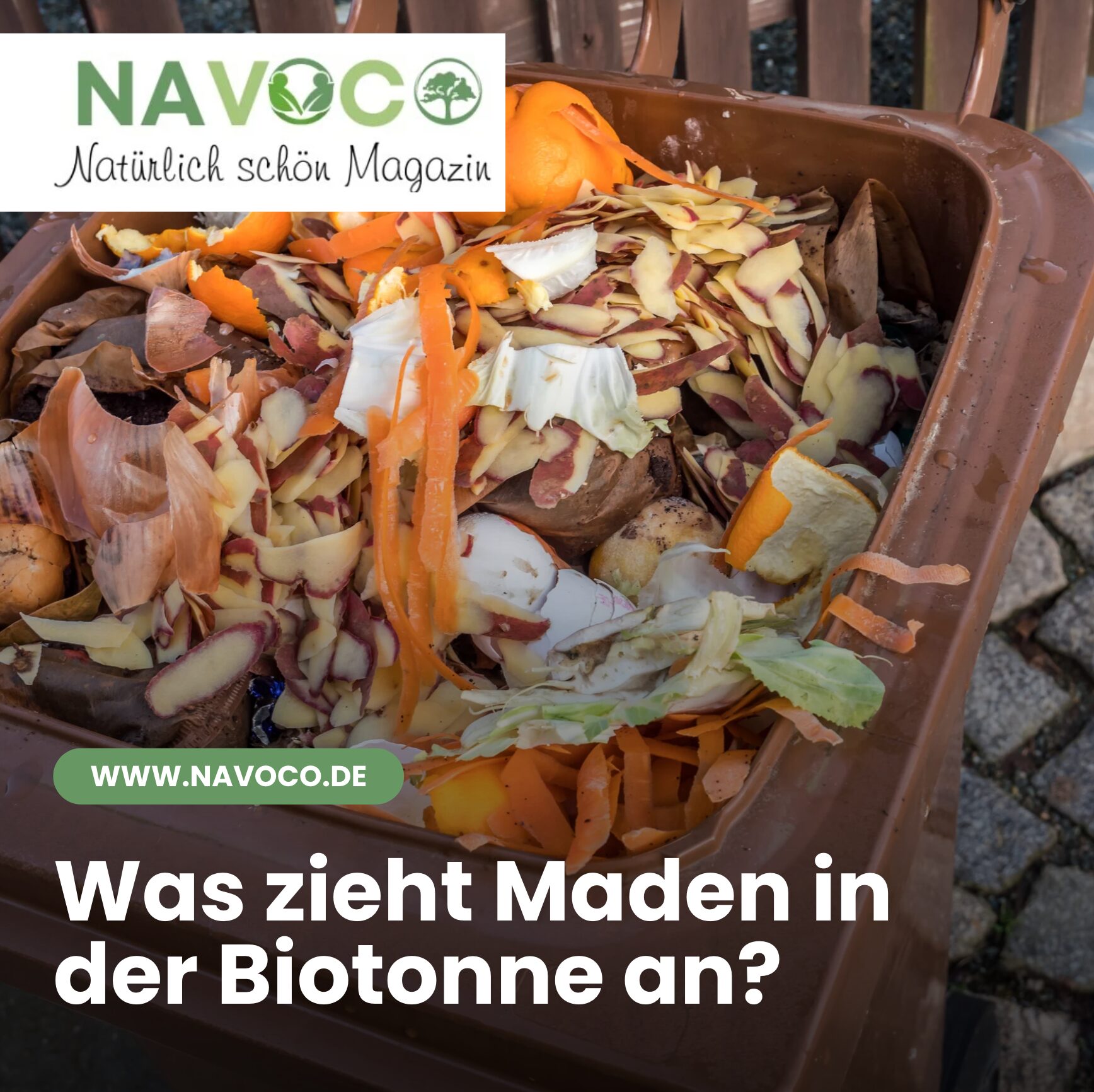 Was zieht Maden in der Biotonne an?