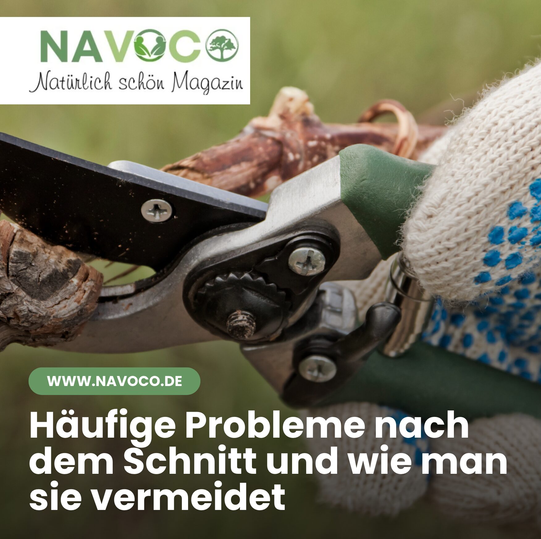 Häufige Probleme nach dem Schnitt und wie man sie vermeidet