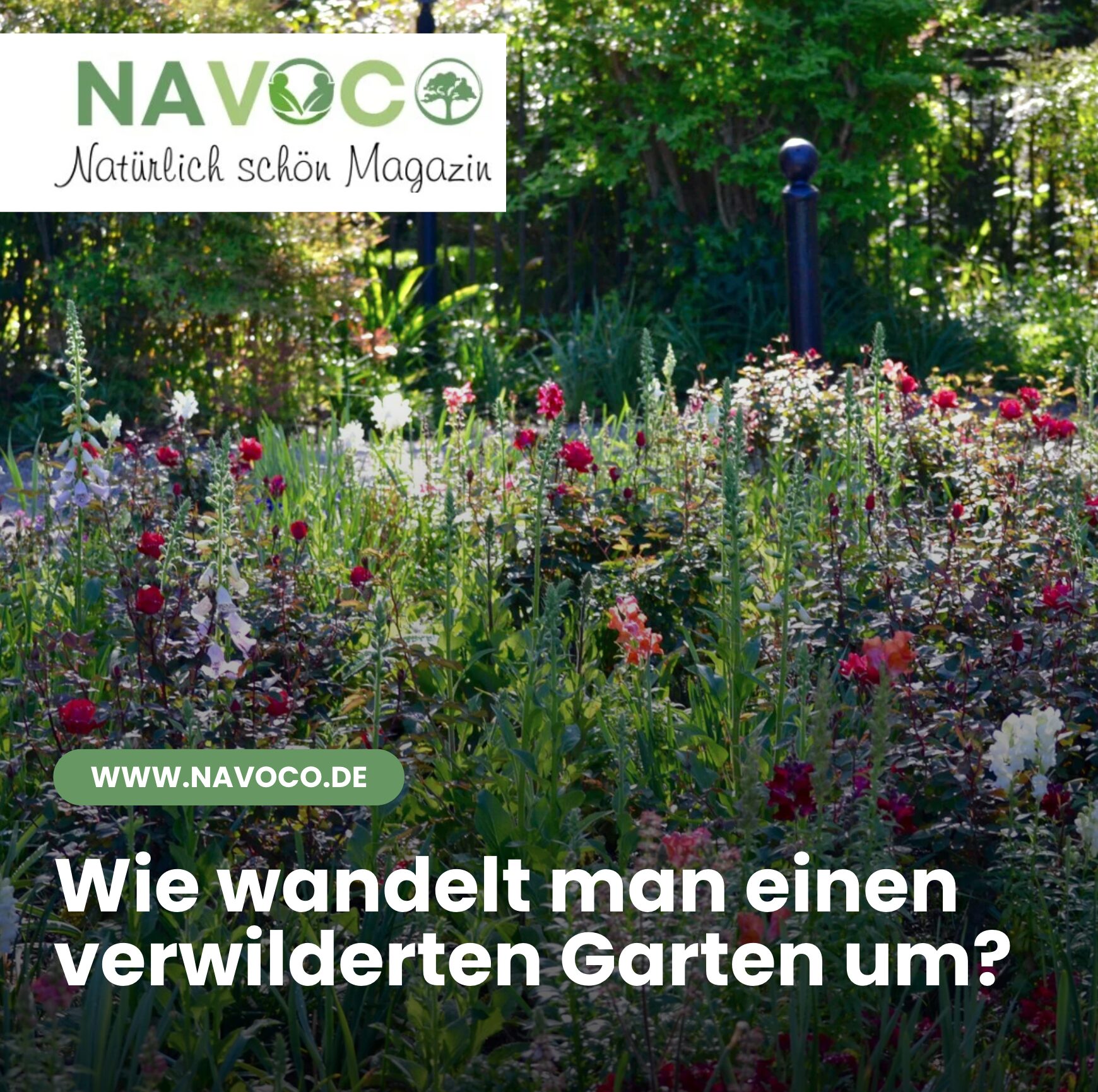 Wie wandelt man einen Verwilderten Garten Um?