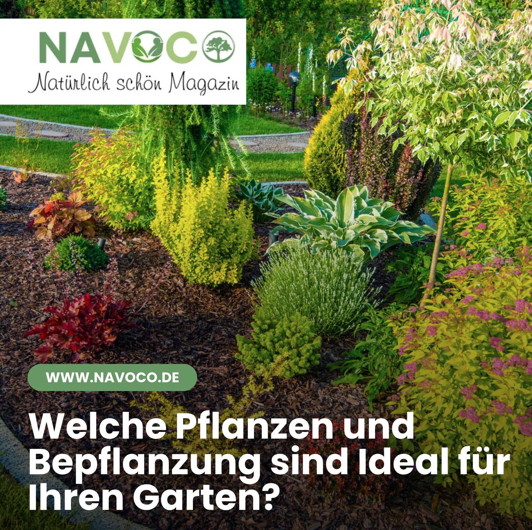 Welche Pflanzen und Bepflanzung sind Ideal für Ihren Garten?