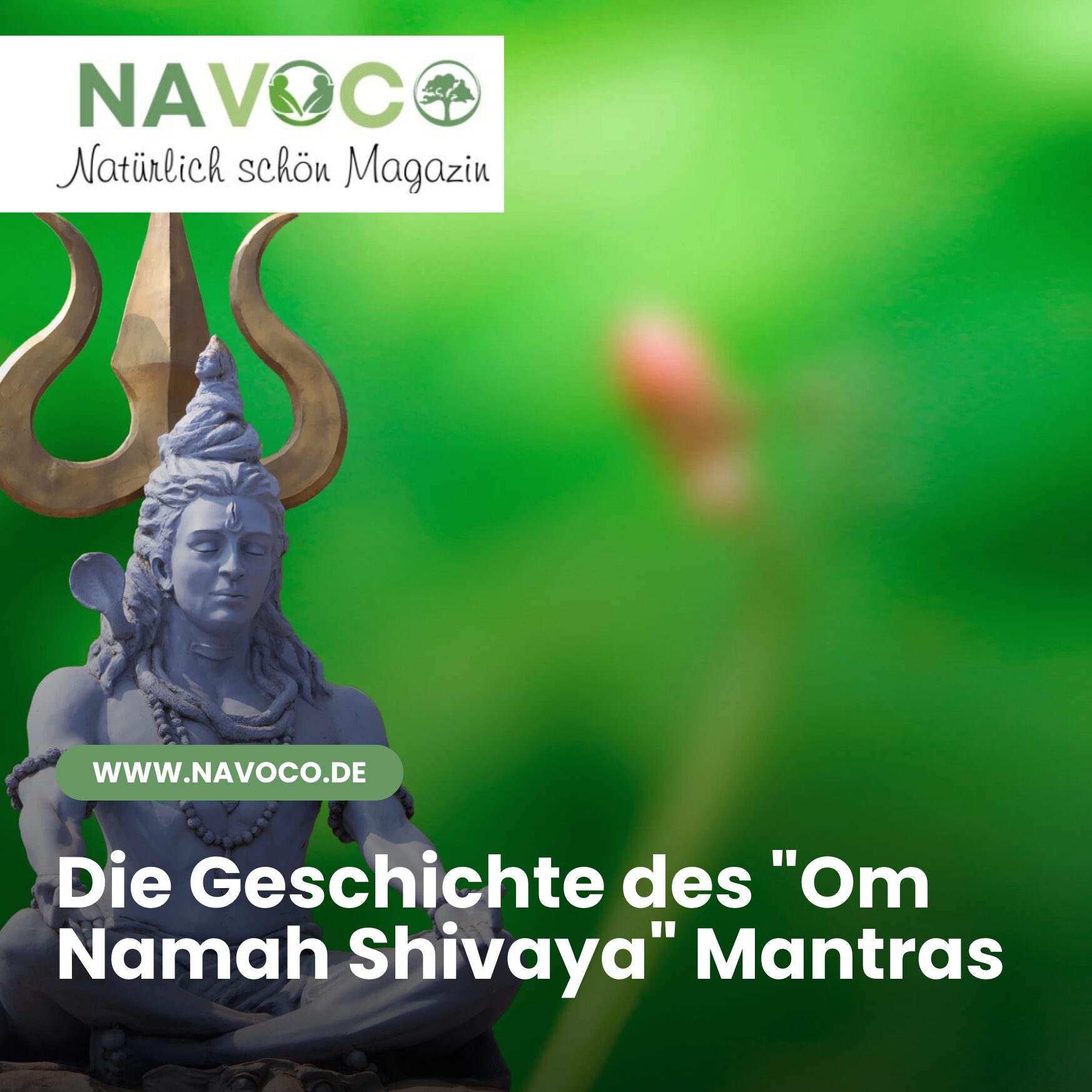 Die Geschichte des "Om Namah Shivaya" Mantras