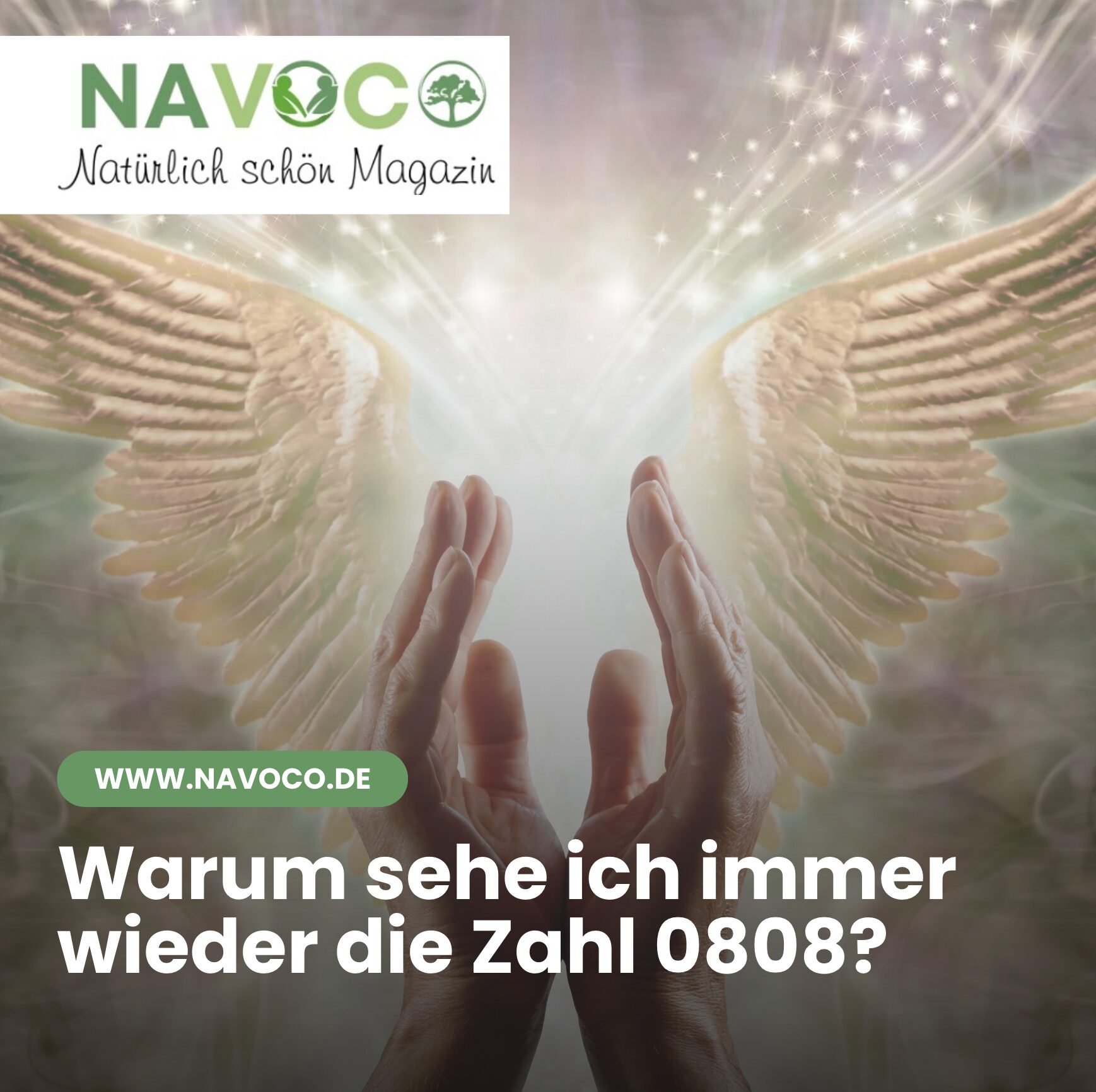 Warum sehe ich immer wieder die Zahl 0808?