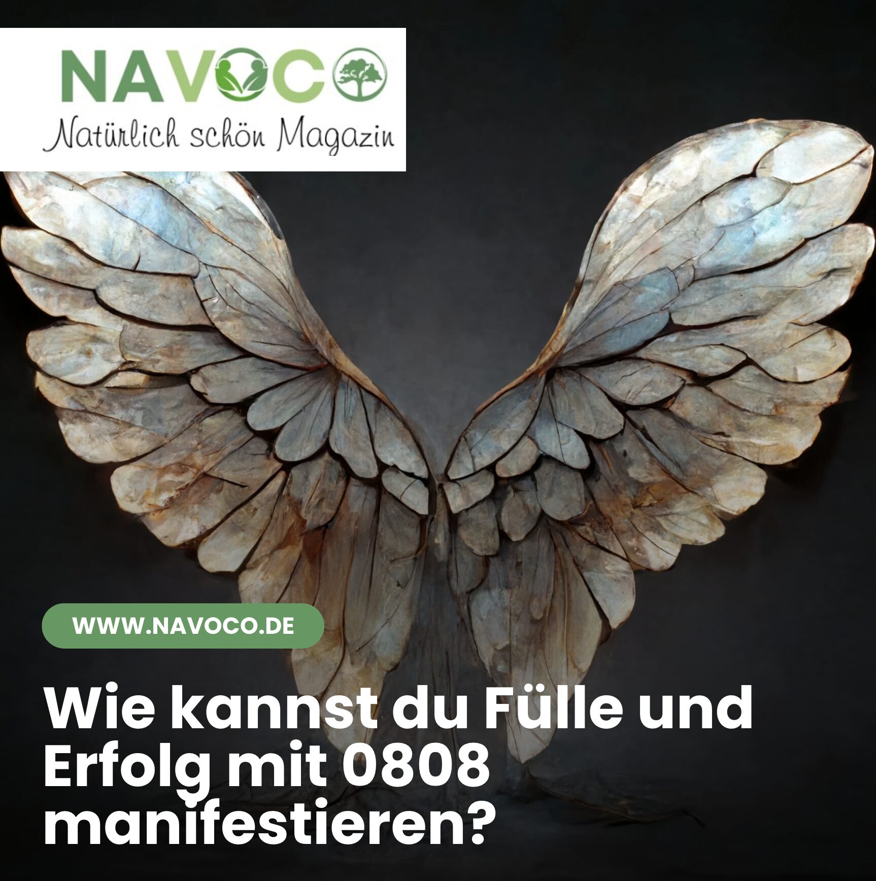 Wie kannst du Fülle und Erfolg mit 0808 manifestieren?