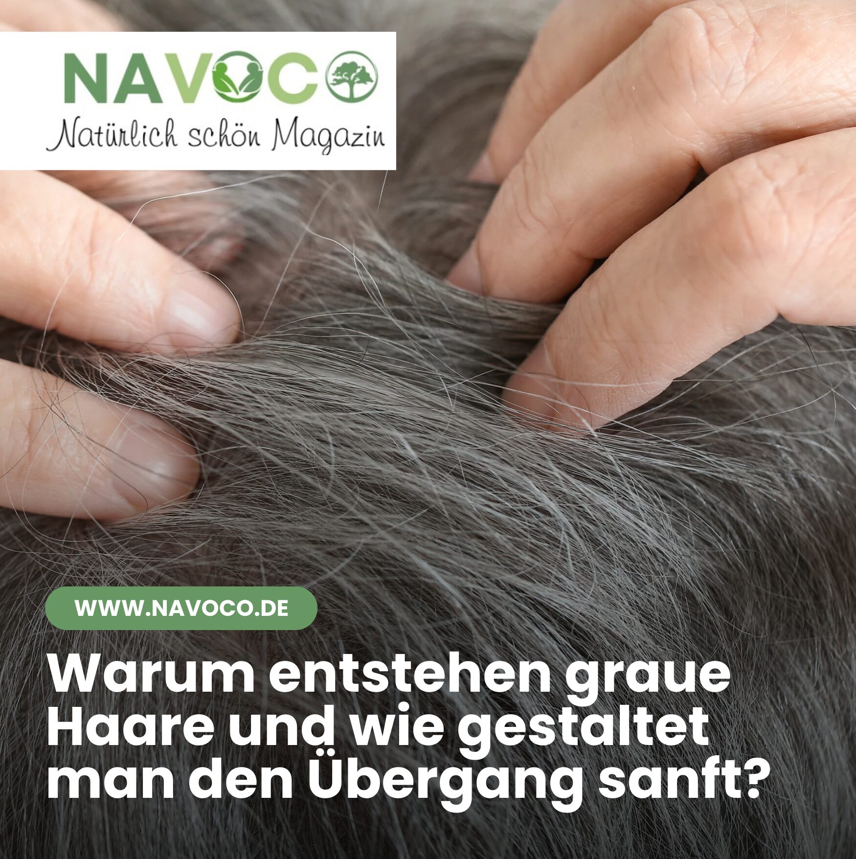 Warum entstehen graue Haare und wie gestaltet man den Übergang sanft?