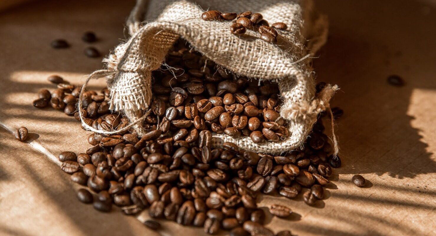 Teuerster Kaffee der Welt: Kopi Luwak, Black Ivory und andere Luxus-Kaffeesorten