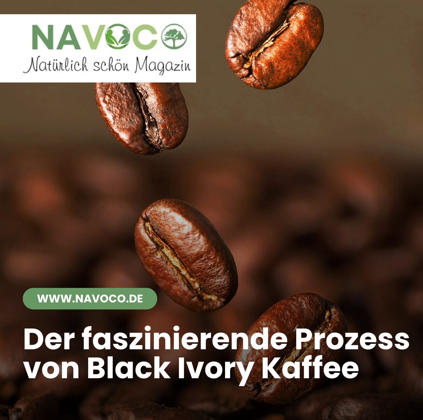 Der faszinierende Prozess von Black Ivory Kaffee
