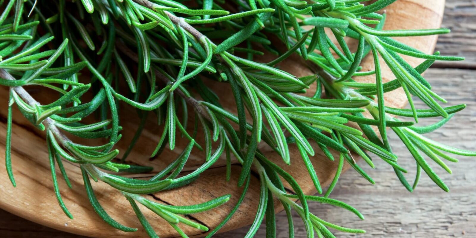 Ab wann wird Rosmarin gefährlich? Die Wahrheit über die Giftigkeit und sichere Anwendung!