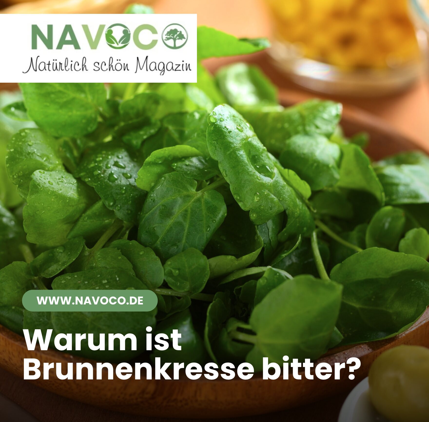 Warum ist Brunnenkresse bitter?