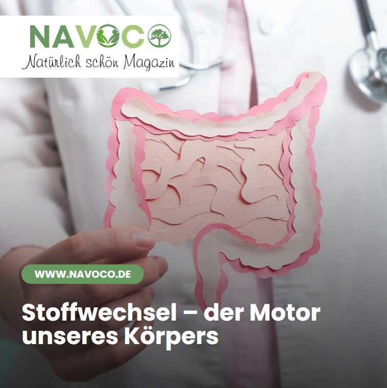 Stoffwechsel – der Motor unseres Körpers