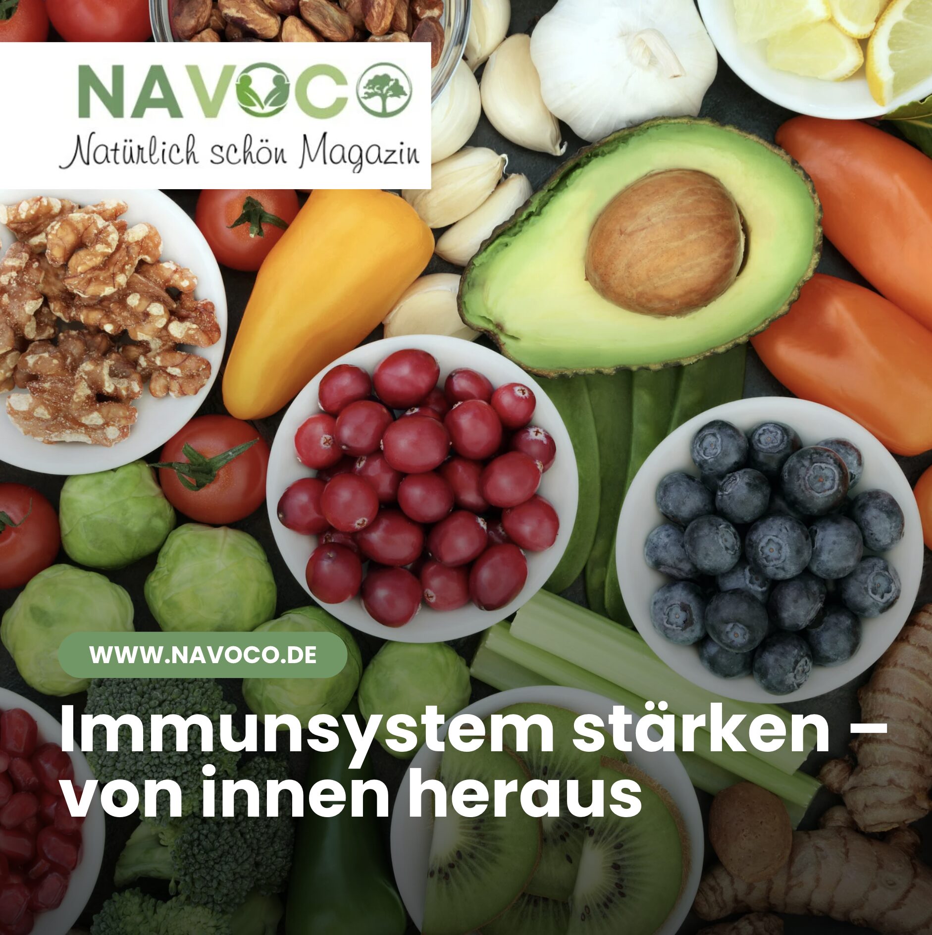 Immunsystem stärken – von innen heraus
