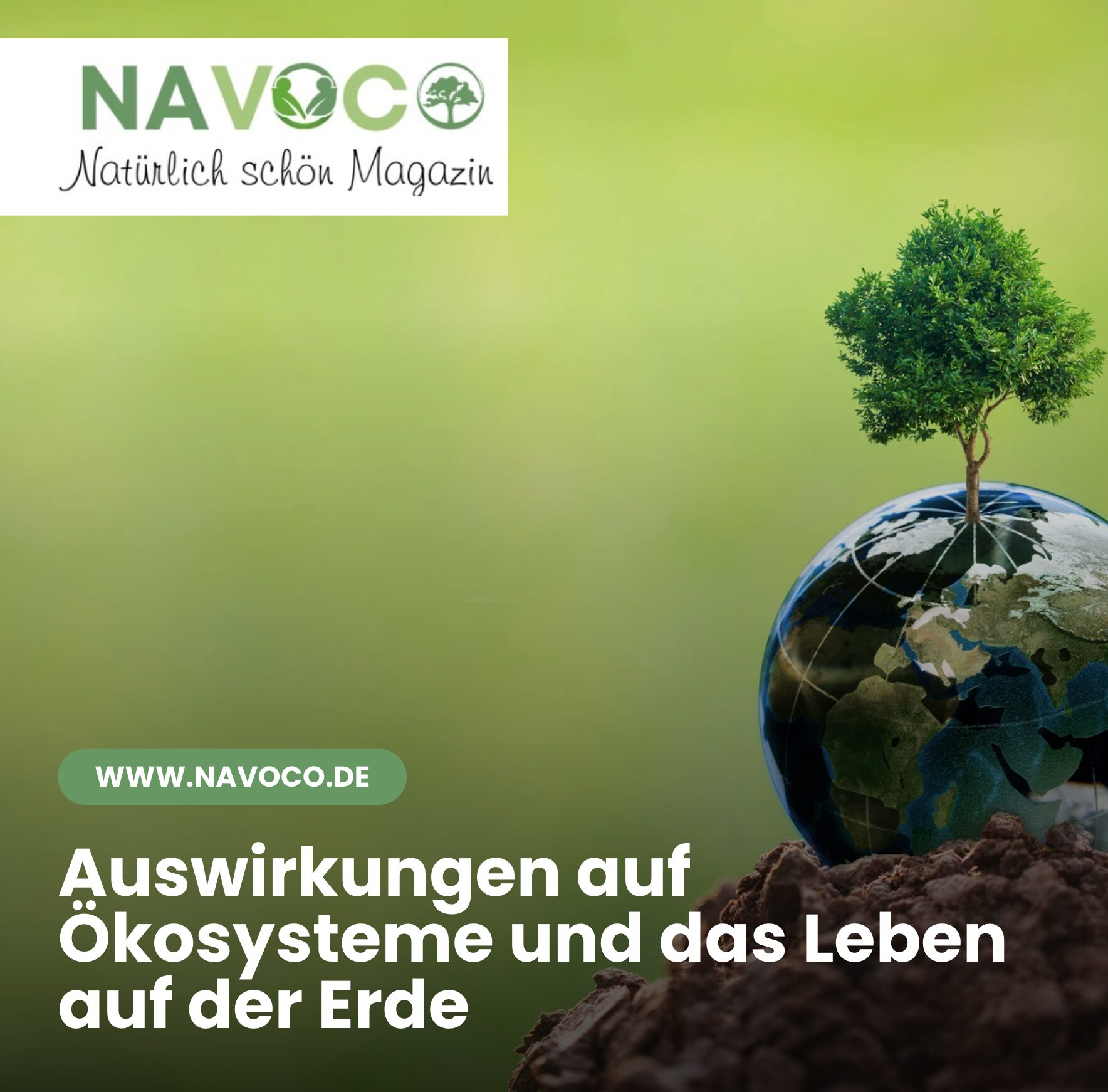 Auswirkungen auf Ökosysteme und das Leben auf der Erde