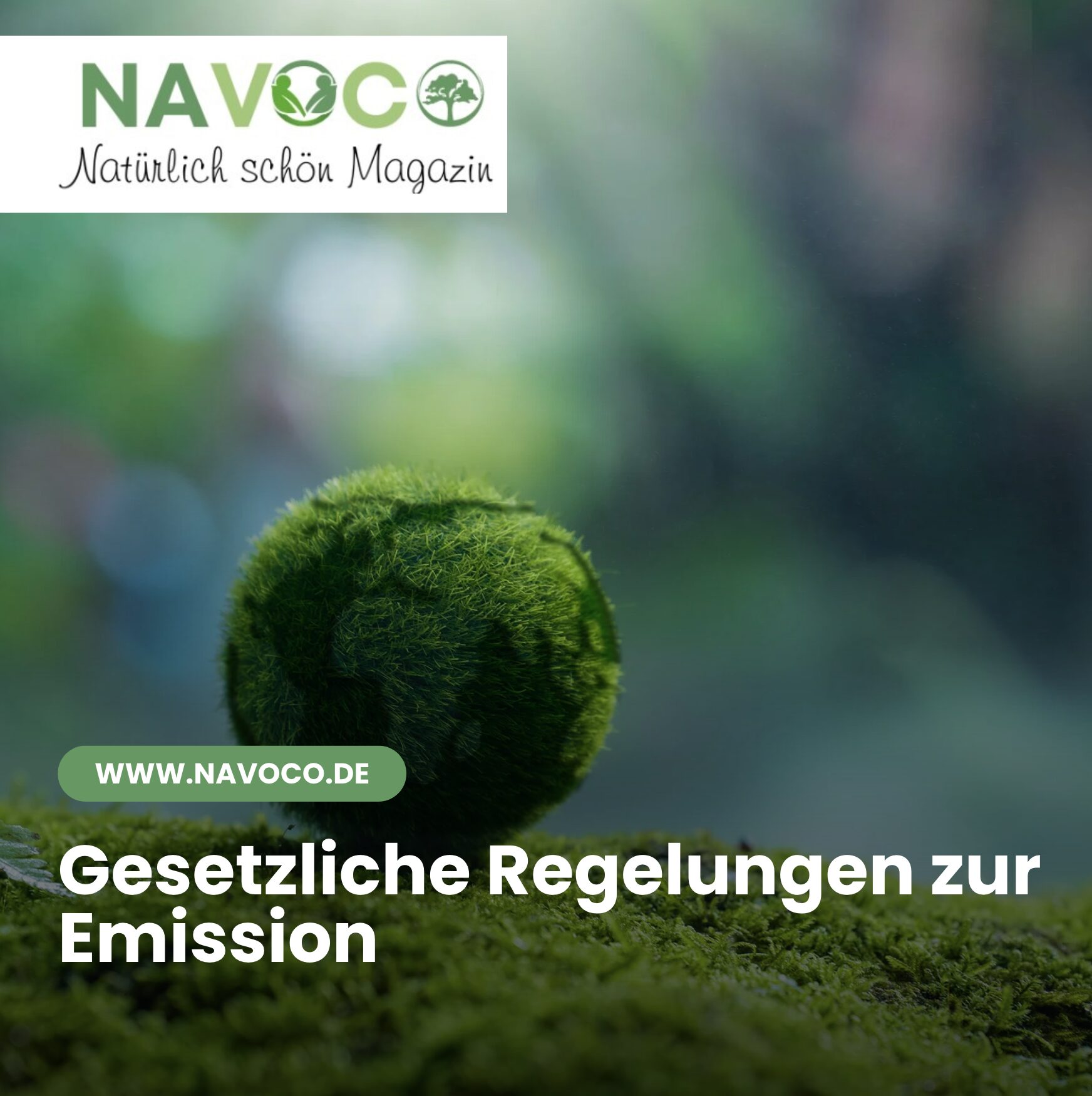Gesetzliche Regelungen zur Emission