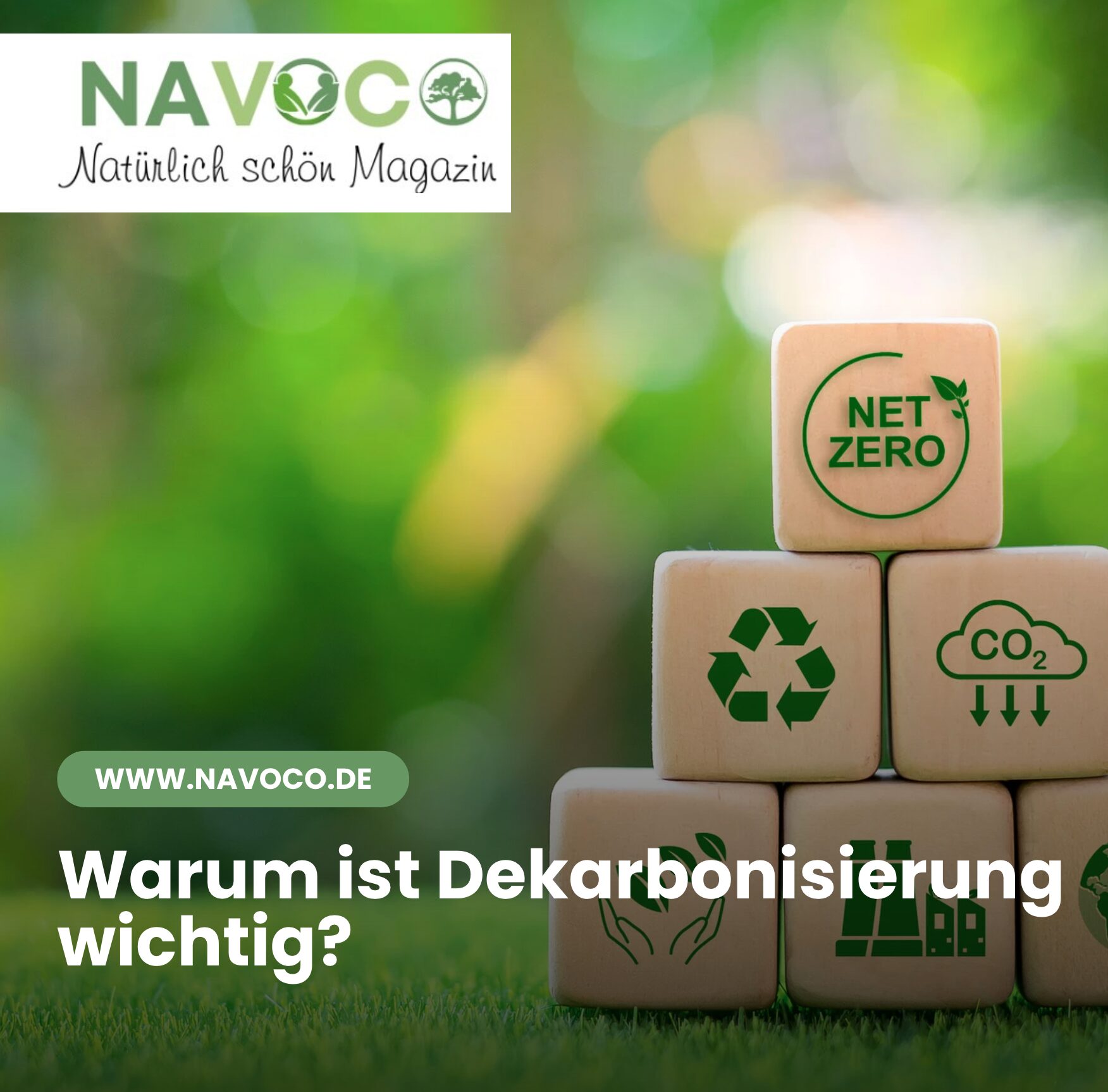 Warum ist Dekarbonisierung wichtig?