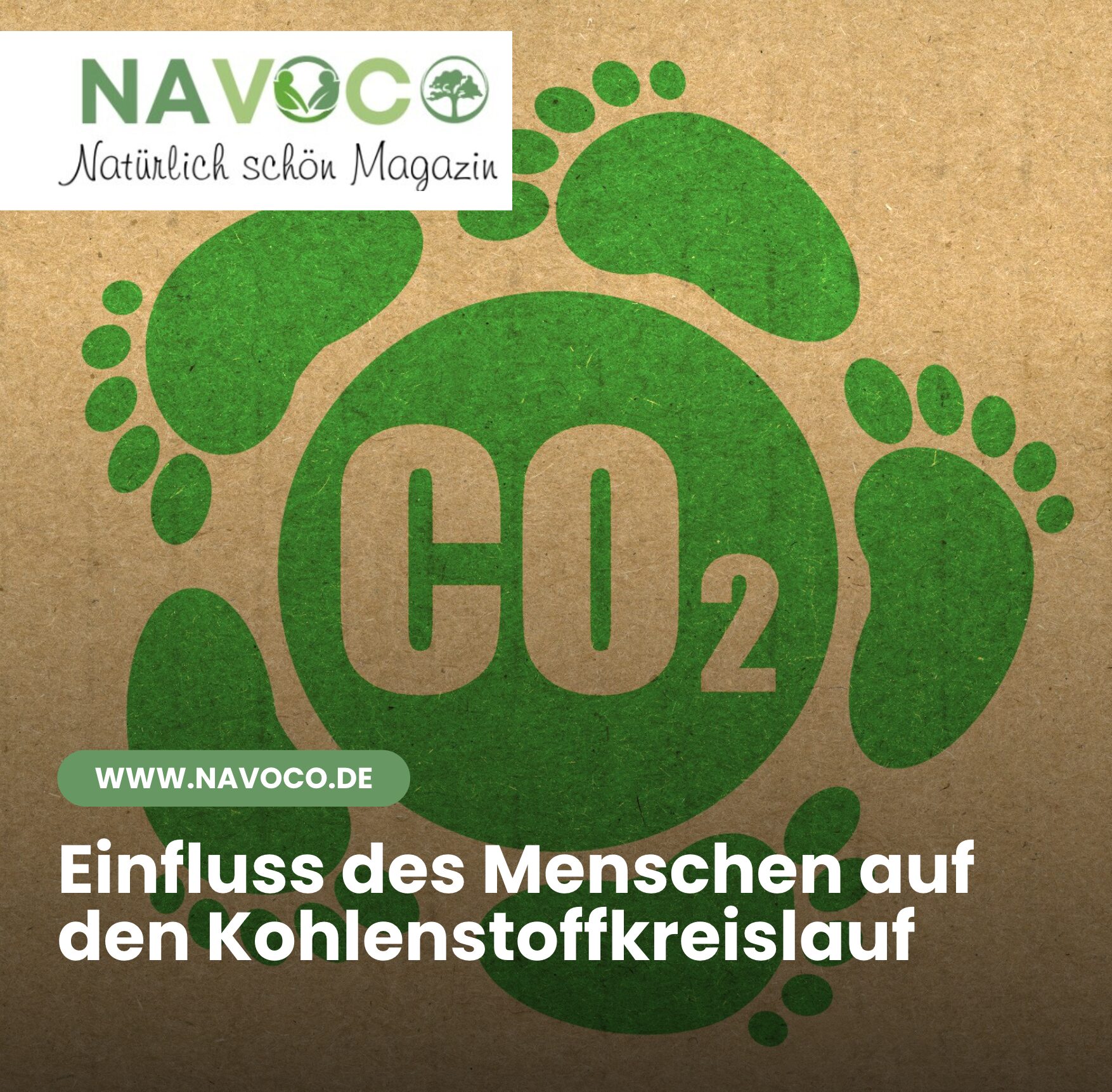 Einfluss des Menschen auf den Kohlenstoffkreislauf