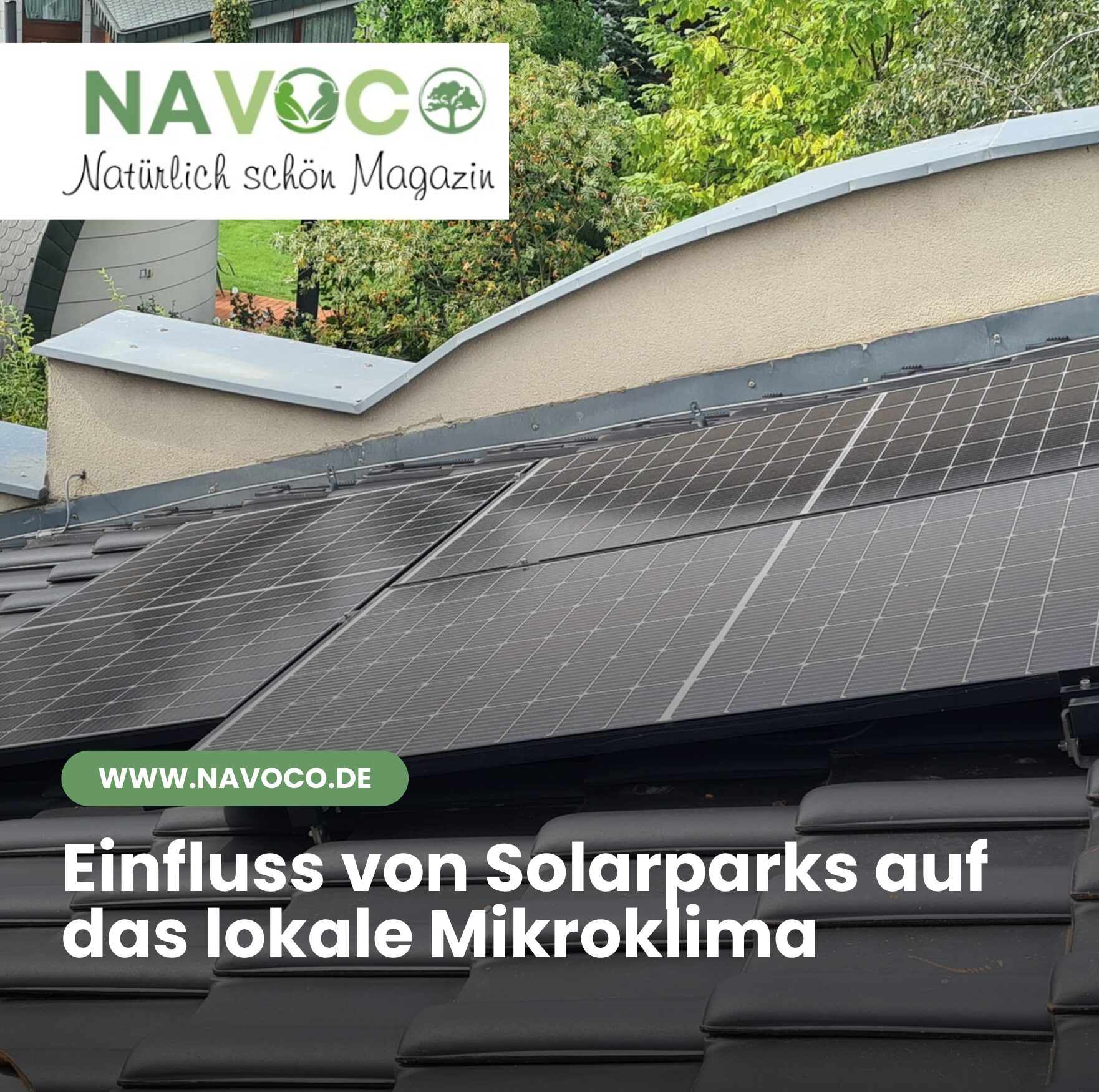Einfluss von Solarparks auf das lokale Mikroklima