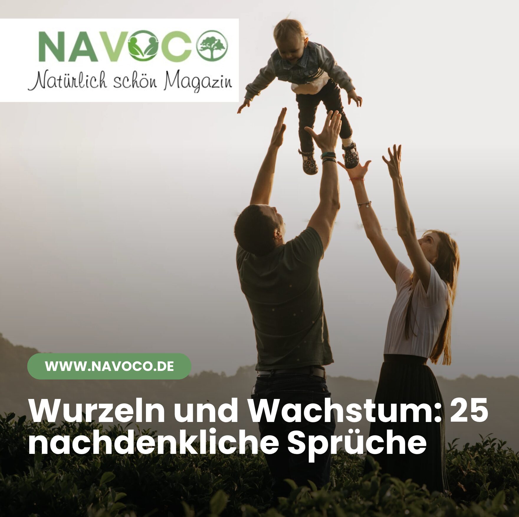 Wurzeln und Wachstum: 25 nachdenkliche Sprüche