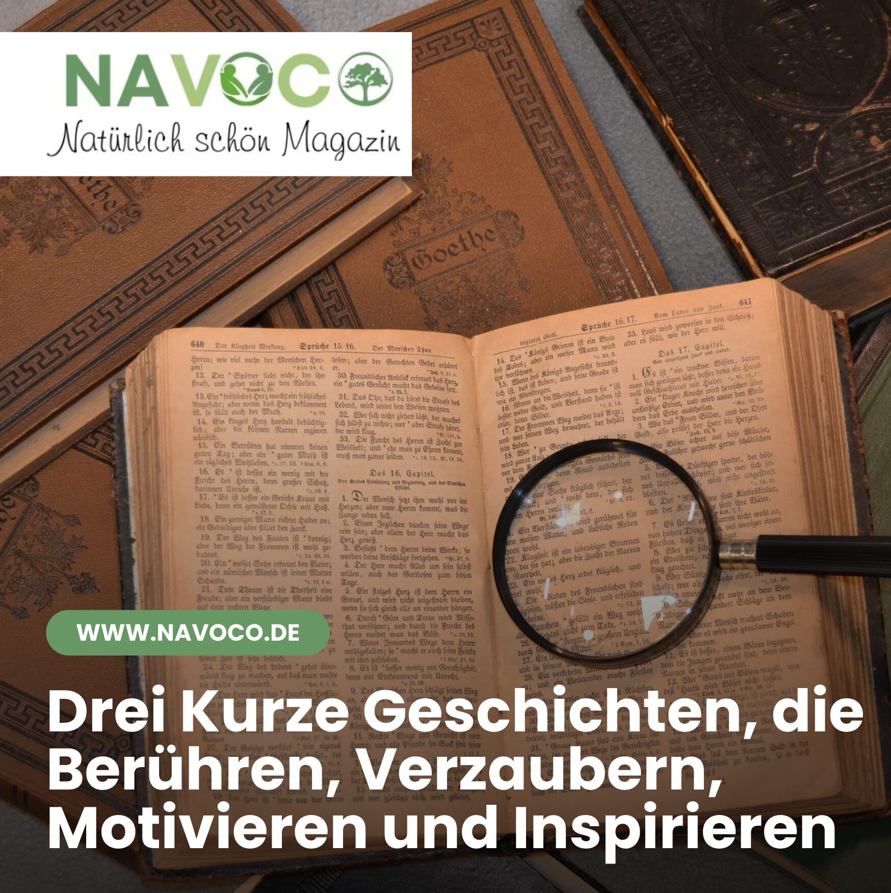 Drei Kurze Geschichten, die Berühren, Verzaubern, Motivieren und Inspirieren