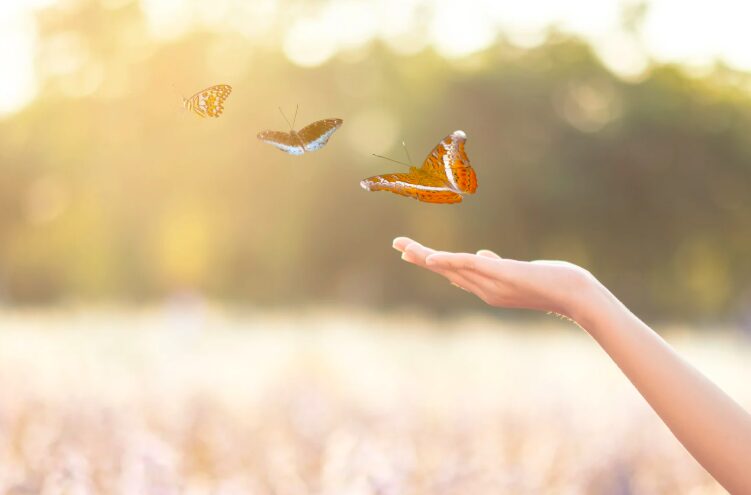 "Ich muss dich loslassen Sprüche": Inspiration für den Weg zur inneren Freiheit und Heilung