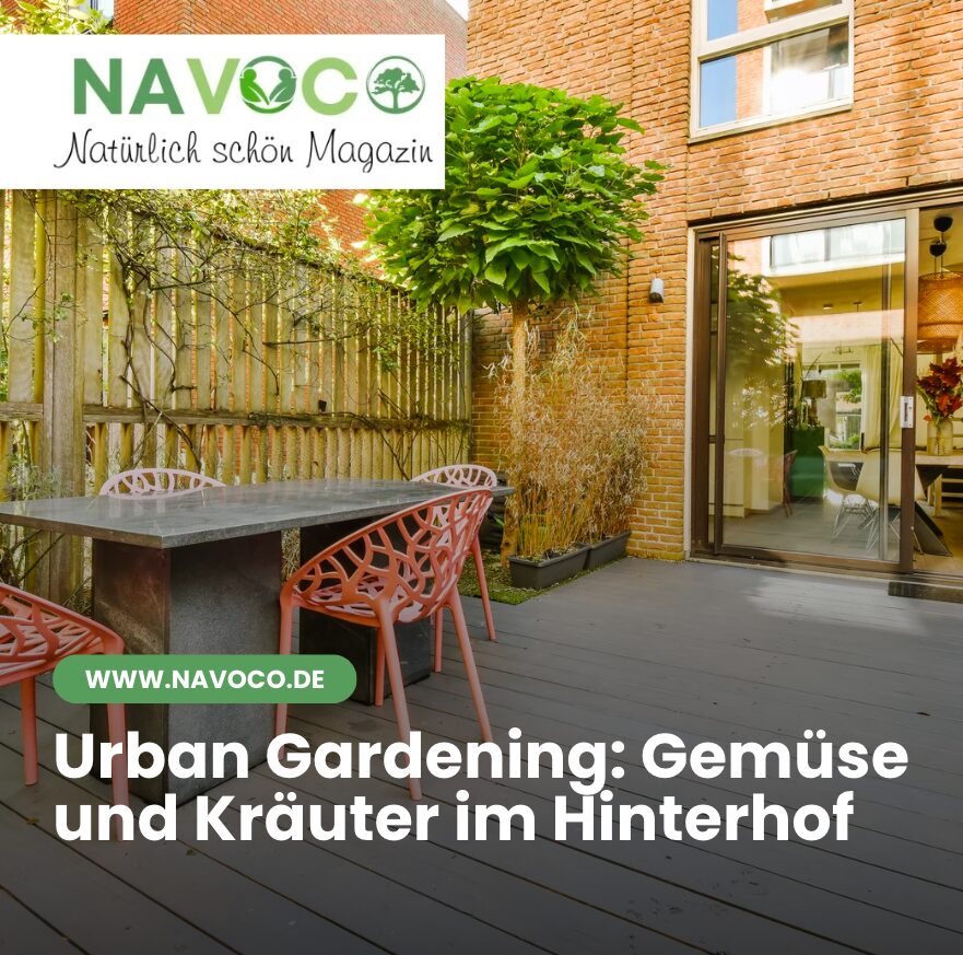 Urban Gardening: Gemüse und Kräuter im Hinterhof