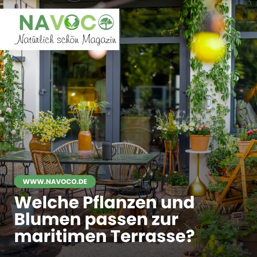 Welche Pflanzen und Blumen passen zur maritimen Terrasse?