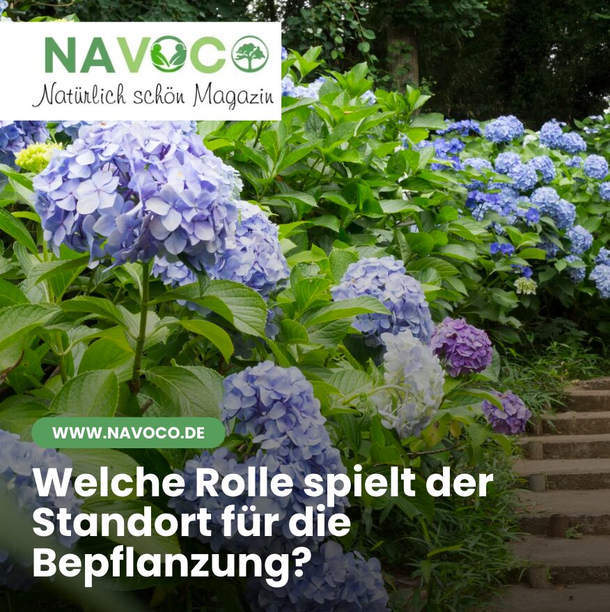 Welche Rolle spielt der Standort für die Bepflanzung?