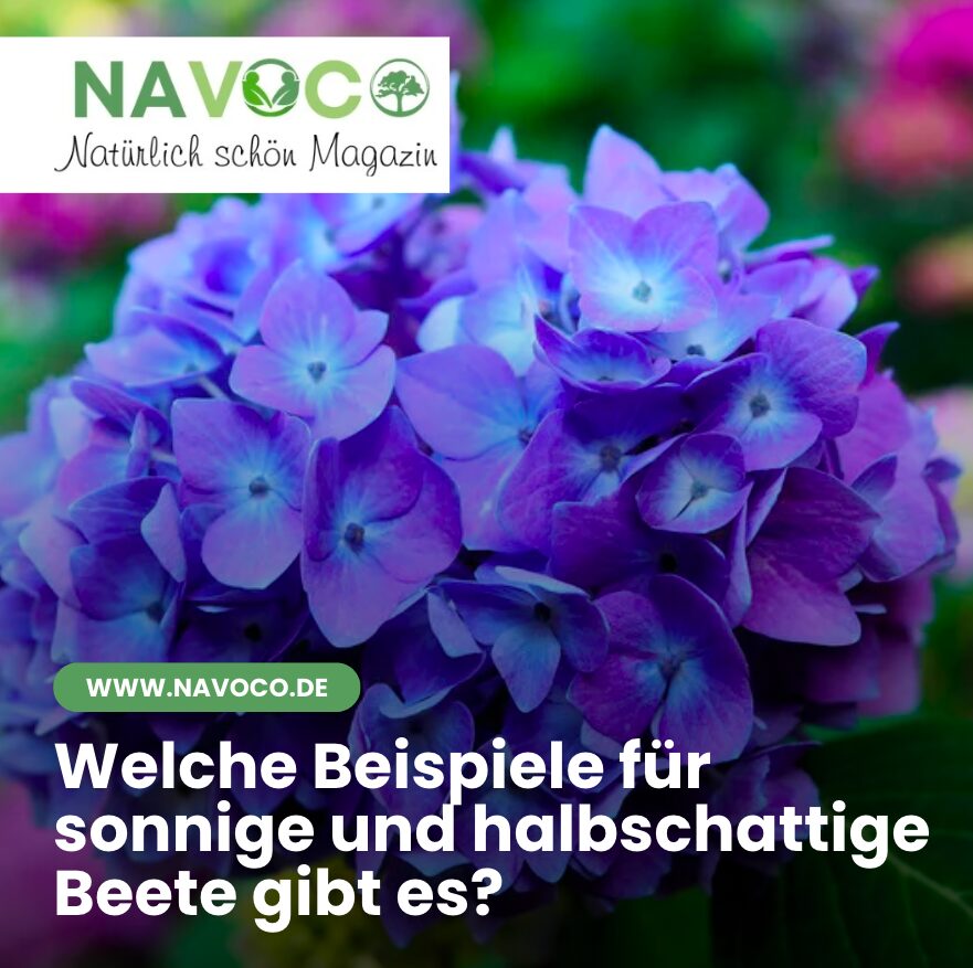 Welche Beispiele für sonnige und halbschattige Beete gibt es?