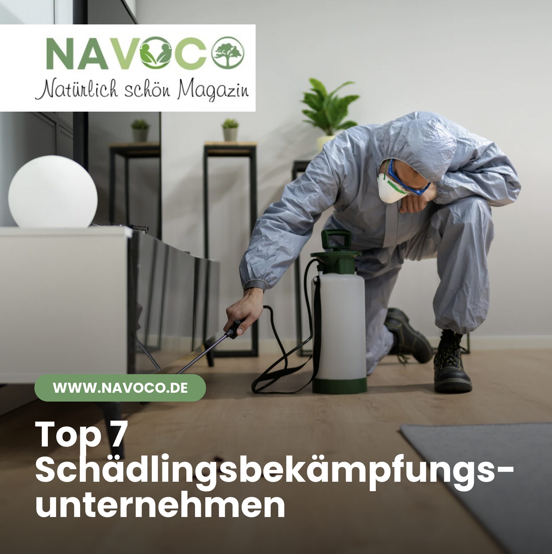 Detaillierte Übersicht der Top 7 Schädlingsbekämpfungsunternehmen