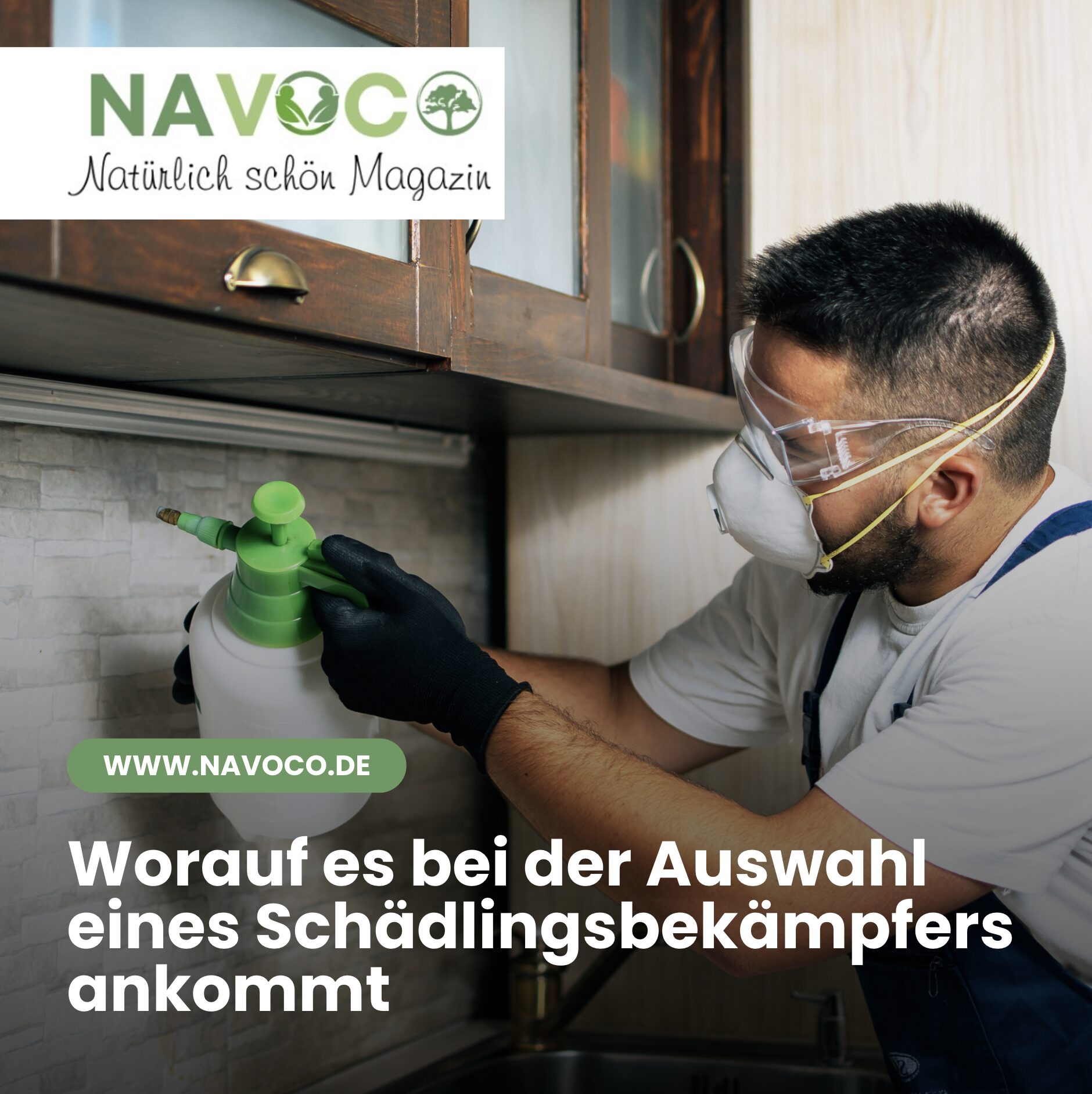 Worauf es bei der Auswahl eines Schädlingsbekämpfers ankommt