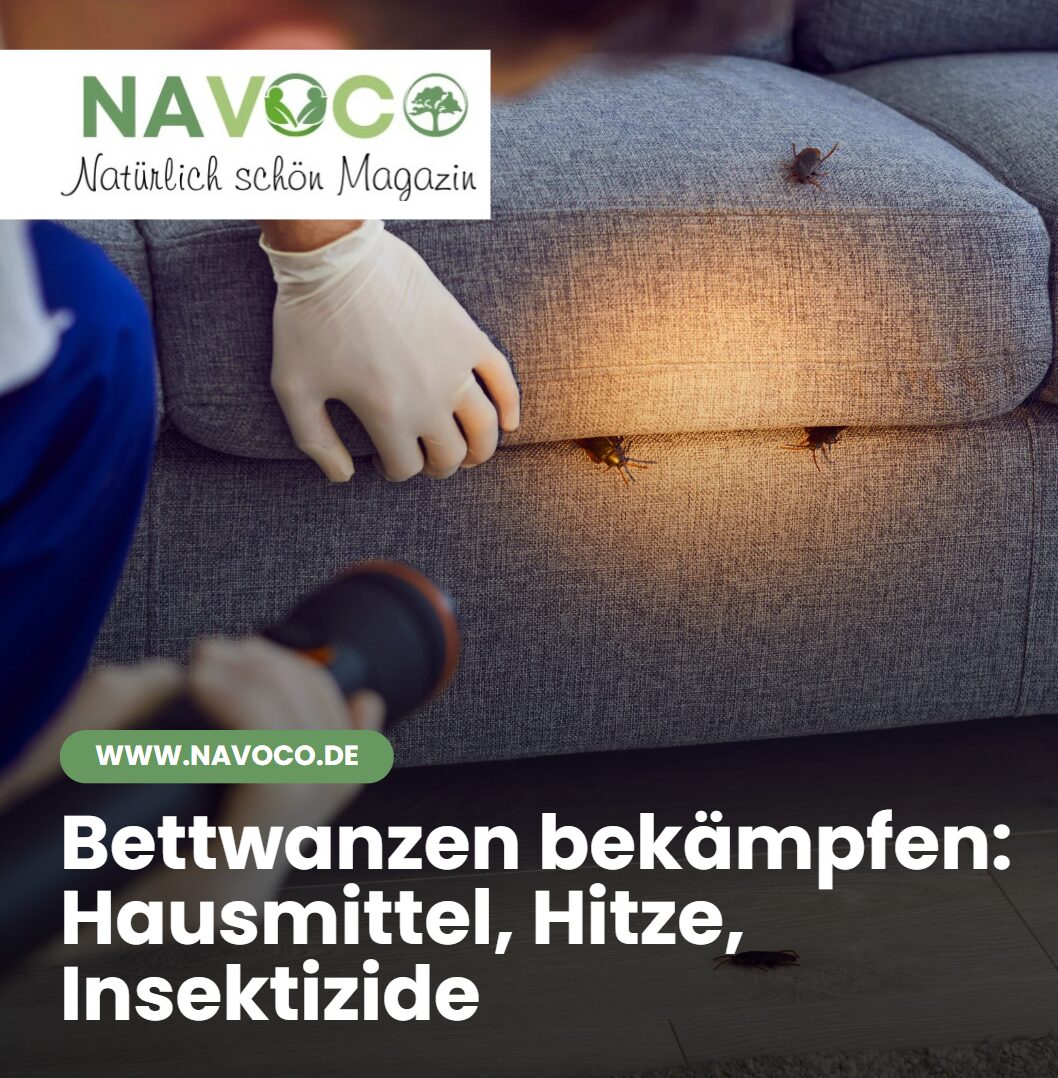 Bettwanzen bekämpfen Hausmittel, Hitze, Insektizide