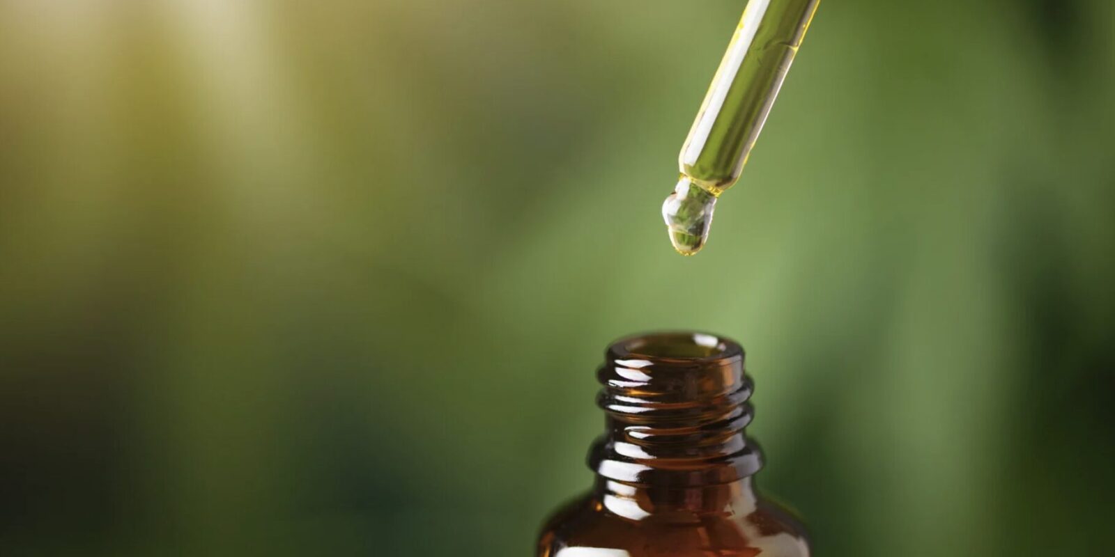 CBD Öl