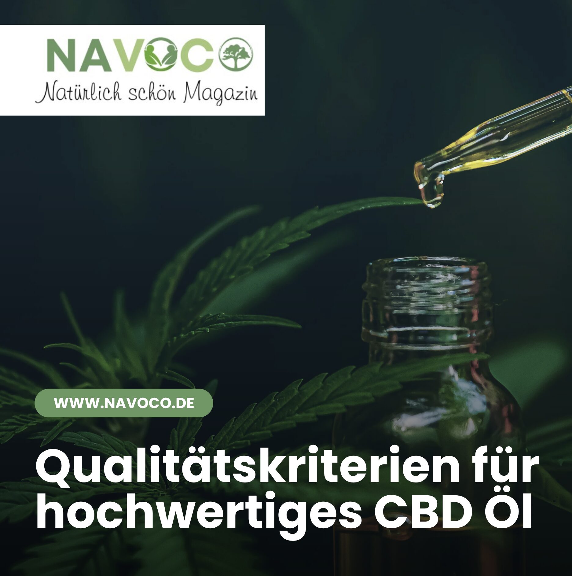Qualitätskriterien für hochwertiges CBD Öl