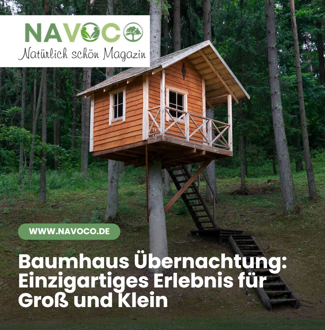 Baumhaus Übernachtung Einzigartiges Erlebnis für Groß und Klein