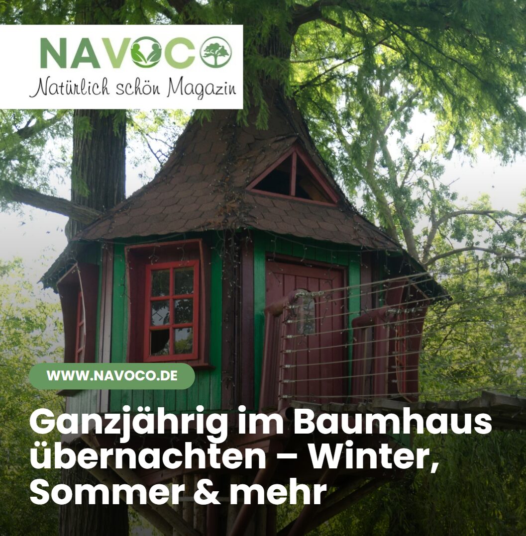 Ganzjährig im Baumhaus übernachten – Winter, Sommer & mehr