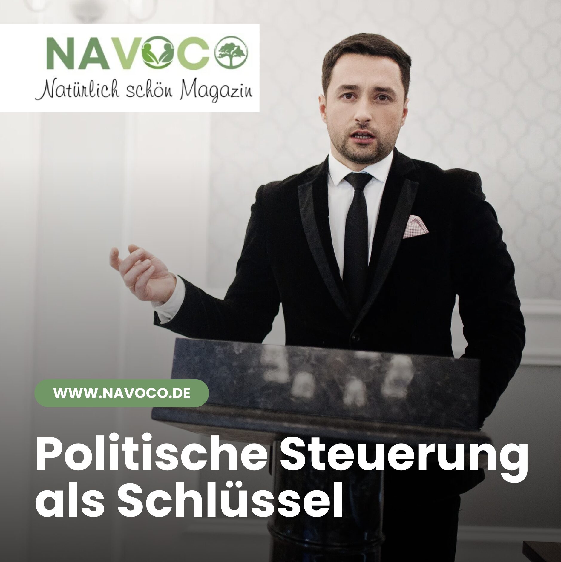 Politische Steuerung als Schlüssel