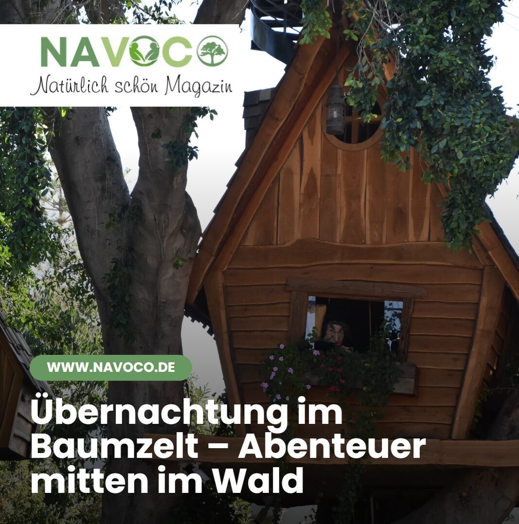 Übernachtung im Baumzelt – Abenteuer mitten im Wald