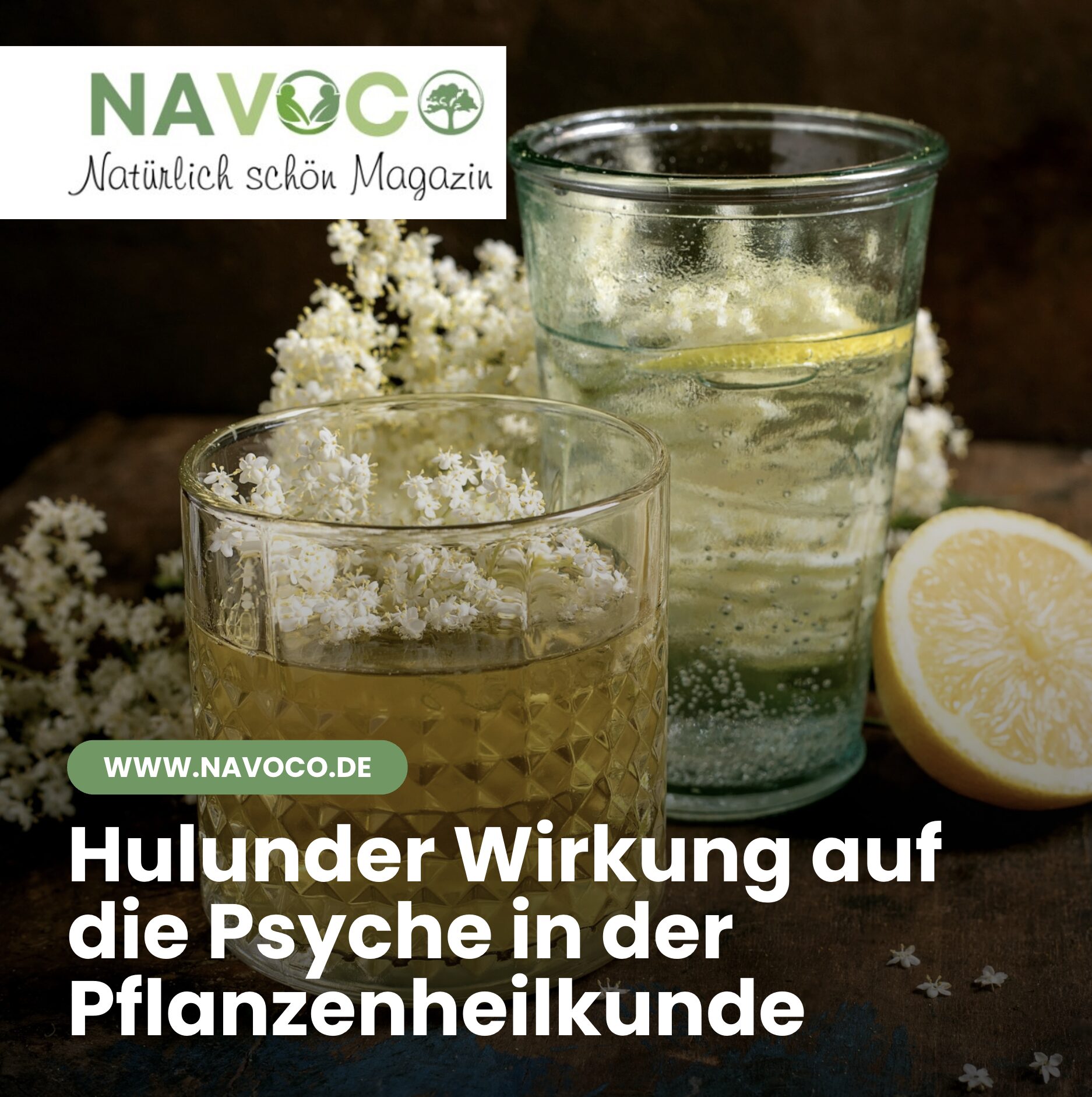 Hulunder Wirkung auf die Psyche in der Pflanzenheilkunde Hulunder Wirkung auf die Psyche in der Pflanzenheilkunde