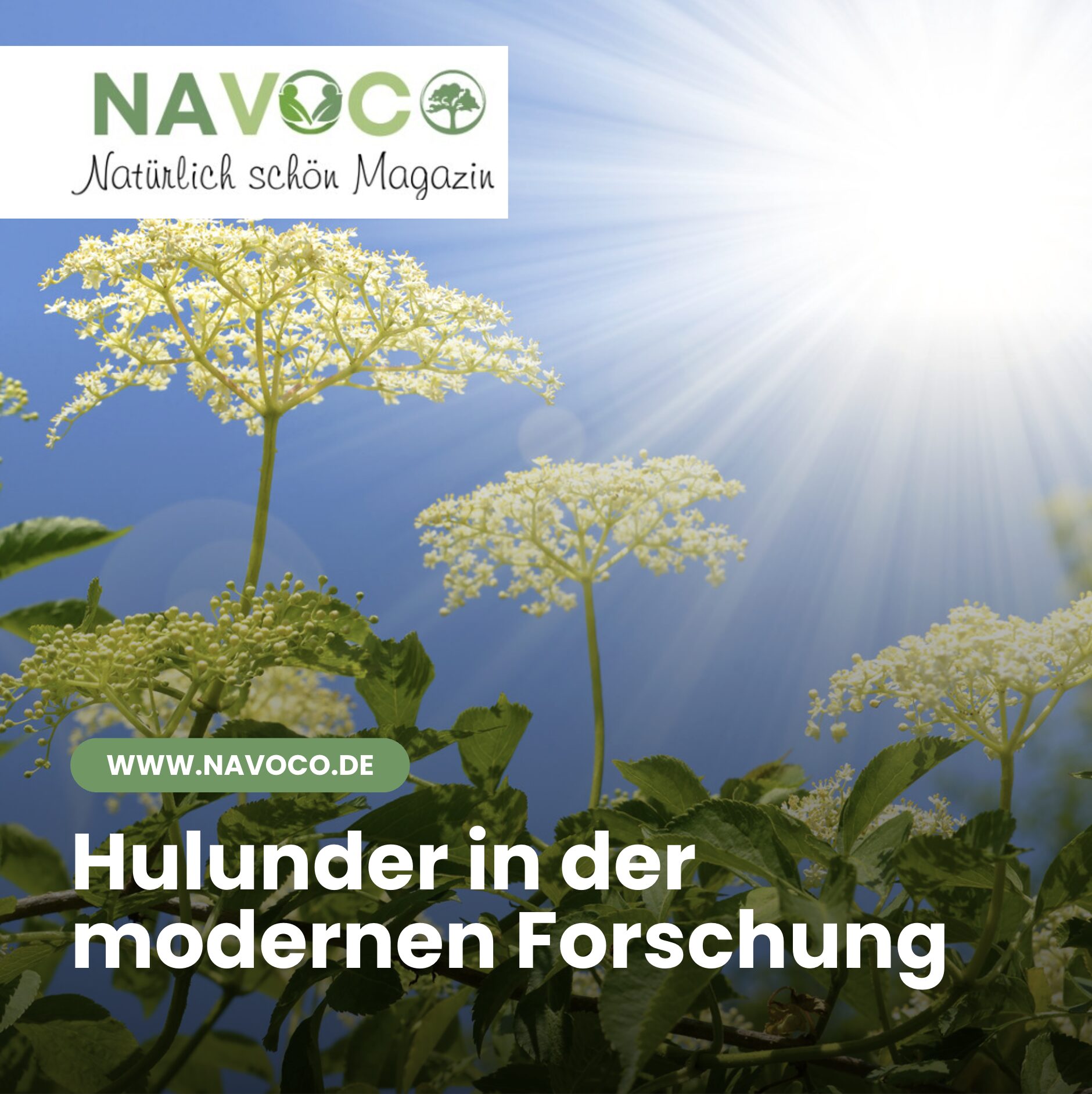 Hulunder in der modernen Forschung Hulunder in der modernen Forschung