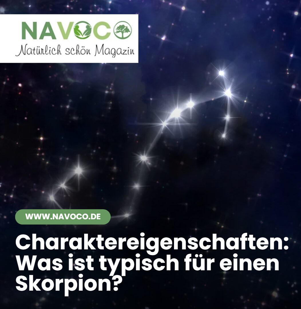 Charaktereigenschaften Was ist typisch für einen Skorpion Charaktereigenschaften Was ist typisch für einen Skorpion