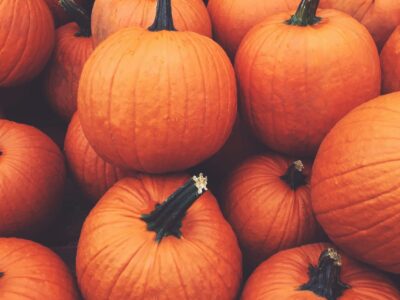 Wie lange hält sich ein Kürbis bei Zimmertemperatur Richtig lagern