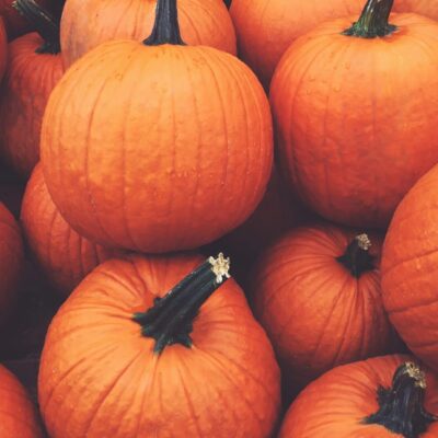 Wie lange hält sich ein Kürbis bei Zimmertemperatur Richtig lagern