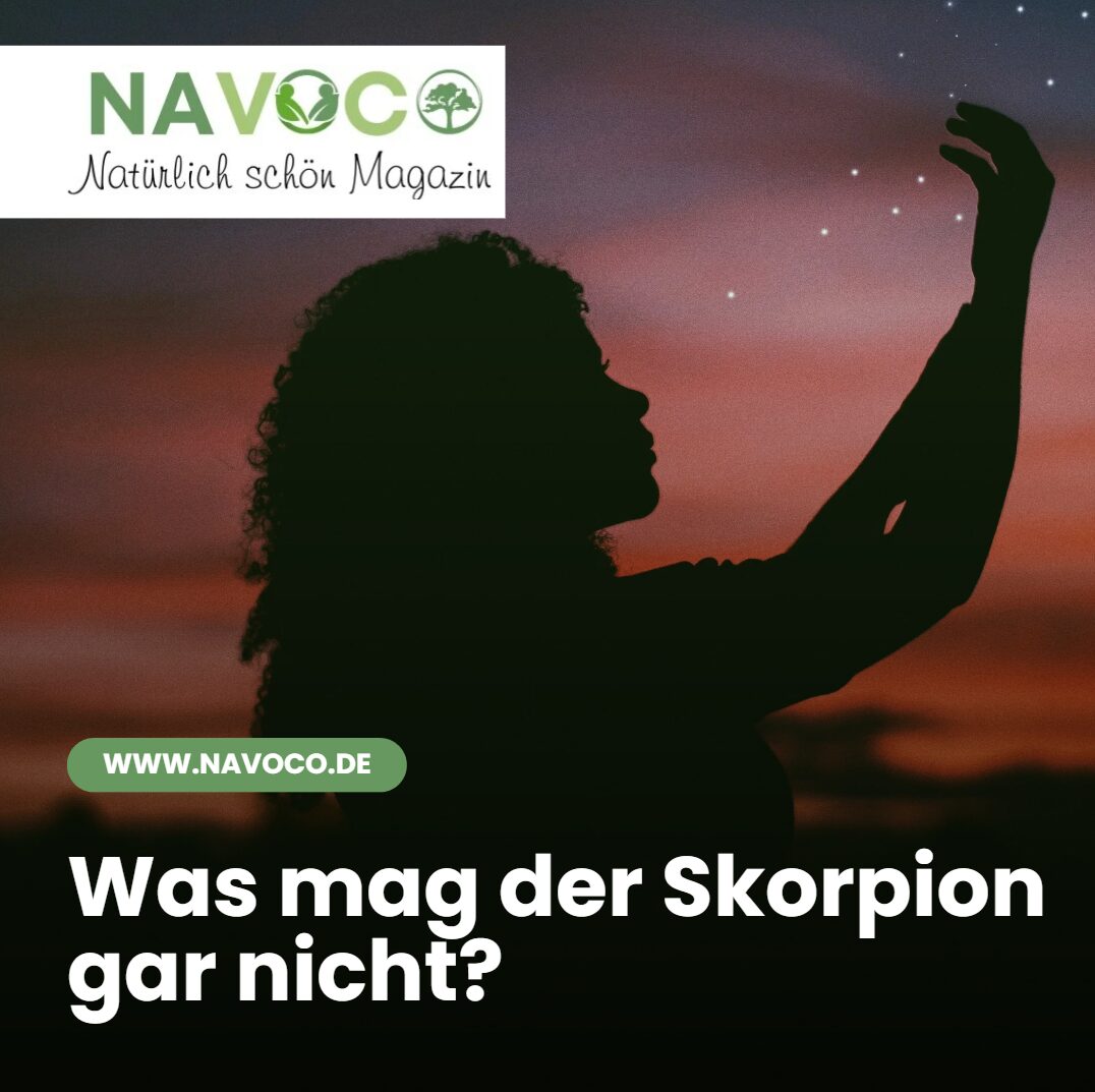 was mag der skorpion gar nicht was mag der skorpion gar nicht