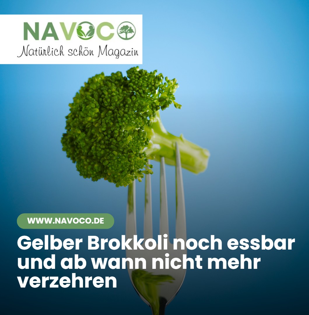 Gelber Brokkoli noch essbar und ab wann nicht mehr verzehren Gelber Brokkoli noch essbar und ab wann nicht mehr verzehren