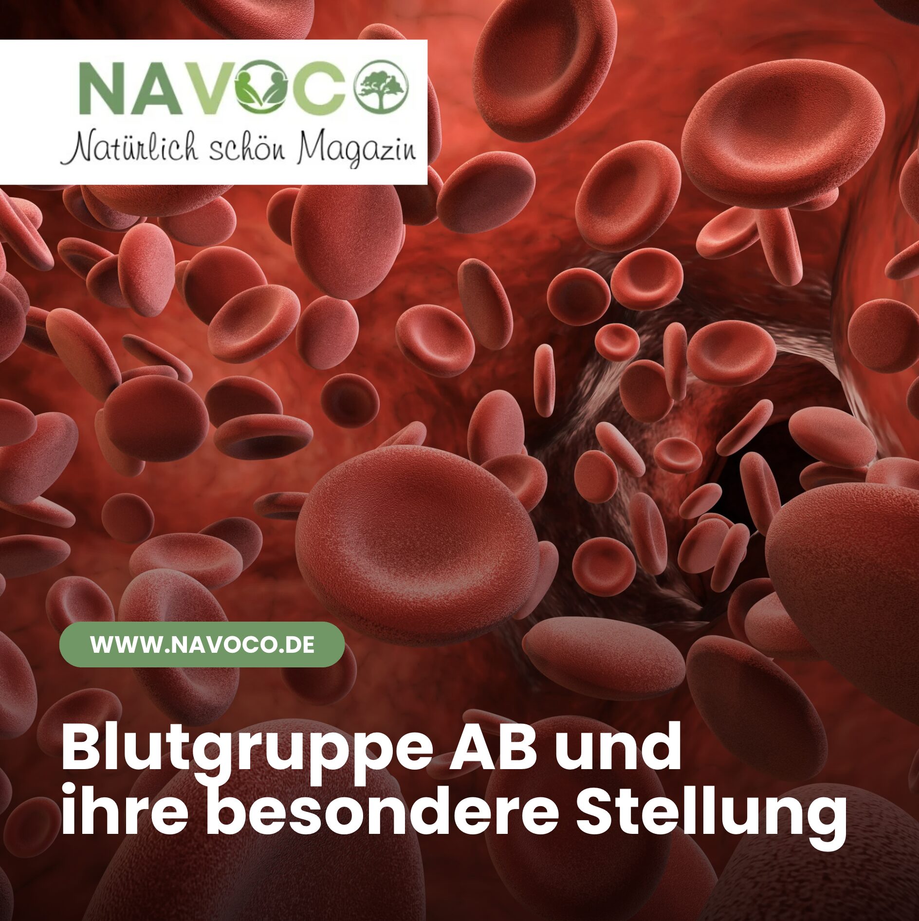 Was ist die seltenste Blutgruppe? Blutgruppe AB Was ist die seltenste Blutgruppe? Blutgruppe AB