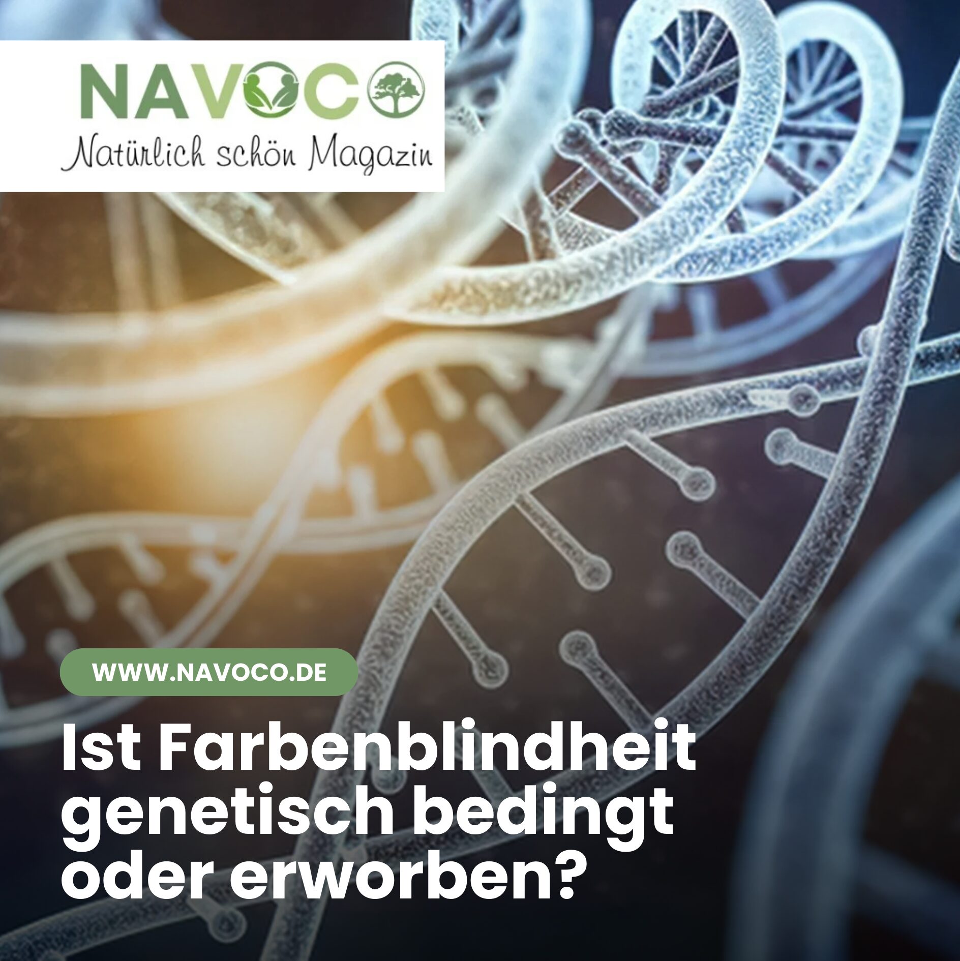 Wie sehen Farbenblinde die Welt? Ist Farbenblindheit genetisch bedingt oder erworben Wie sehen Farbenblinde die Welt? Ist Farbenblindheit genetisch bedingt oder erworben