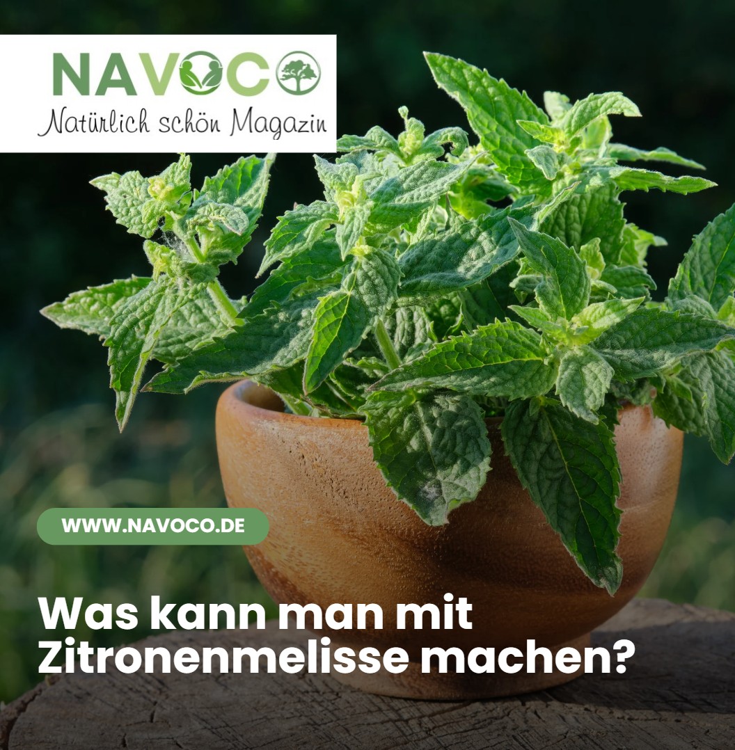 Was kann man mit Zitronenmelisse machen Getränke und Sommerideen Was kann man mit Zitronenmelisse machen Getränke und Sommerideen